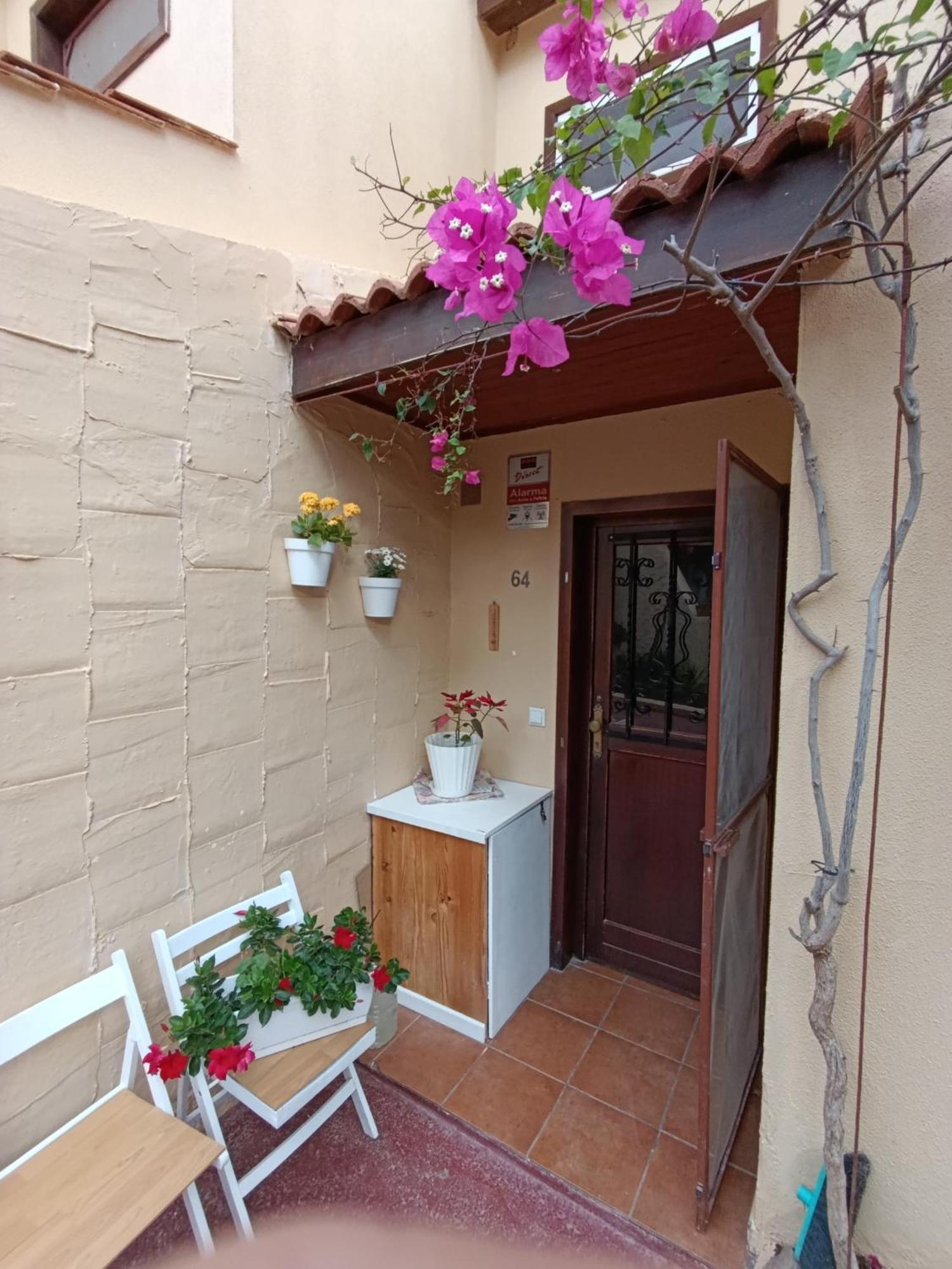 Emily Home Parque Holandes المظهر الخارجي الصورة